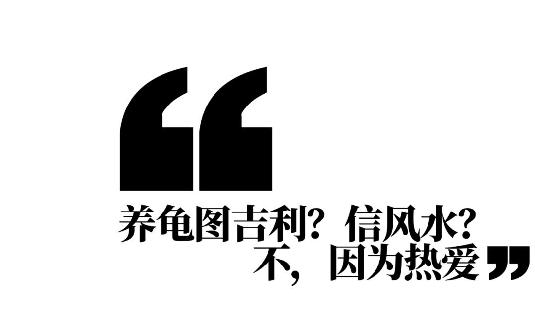 在广东养乌龟，一年能赚1000万？