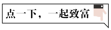 养殖乌鸡的成本与利润_致富经乌鸡养殖_致富养殖乌鸡图片