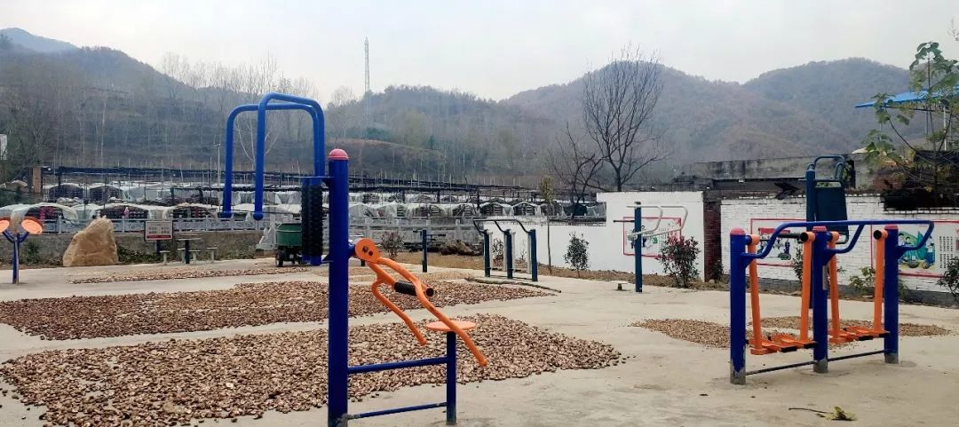 “小香菇”种出脱贫致富大产业