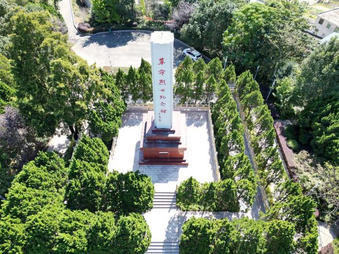 种植西红柿效益如何_西红柿种植致富法宝_种西红柿赚钱吗