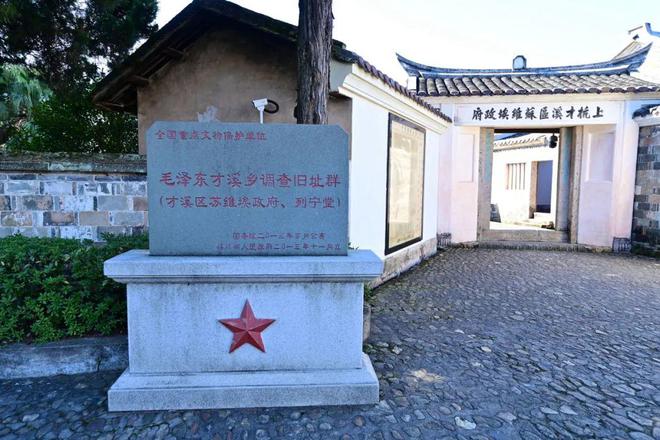 种植西红柿效益如何_西红柿种植致富法宝_种西红柿赚钱吗