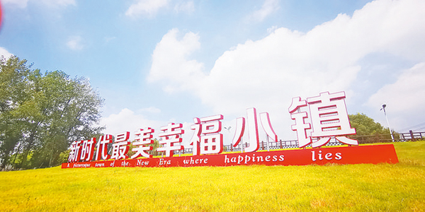 大圩一景。