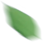 碰柑什么时候播种_致富经视频碰柑种植_碰柑多少钱一斤