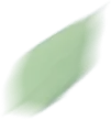 碰柑什么时候播种_碰柑多少钱一斤_致富经视频碰柑种植