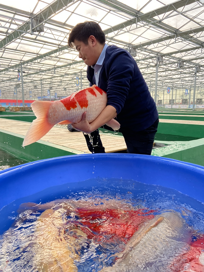 折腾致富男人爱上女人_折腾致富男人爱老婆_致富经爱折腾的男人