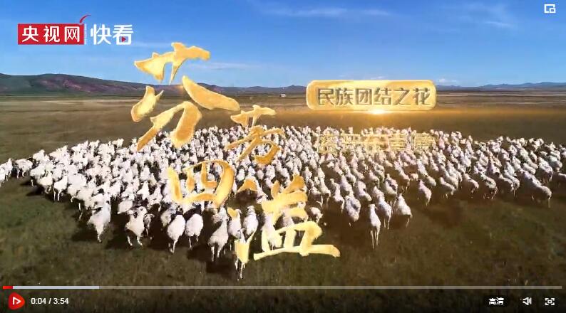 民族团结之花盛开在草原