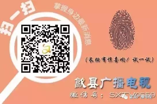 覆盆子种植是骗局吗_致富经覆盆子种植_种植覆盆子经济效益前景怎么样