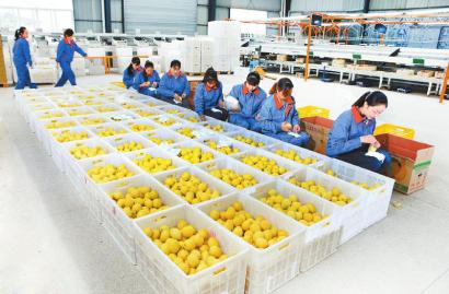 2020致富之路_种植致富之路_致富之路小投资