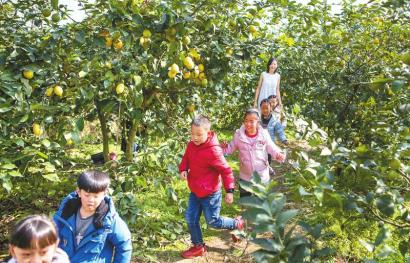 种植致富之路_致富之路小投资_2020致富之路