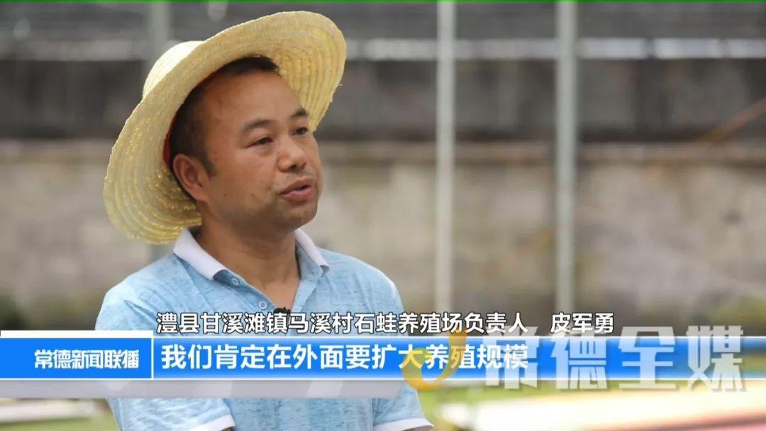 致富养殖石蛙图片_石蛙养殖致富经_致富养殖石蛙赚钱吗