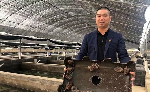 广东养殖业什么最赚钱农村_广东养殖业项目简介_养殖致富广东