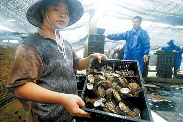 广东养殖业项目简介_广东养殖业什么最赚钱农村_养殖致富广东