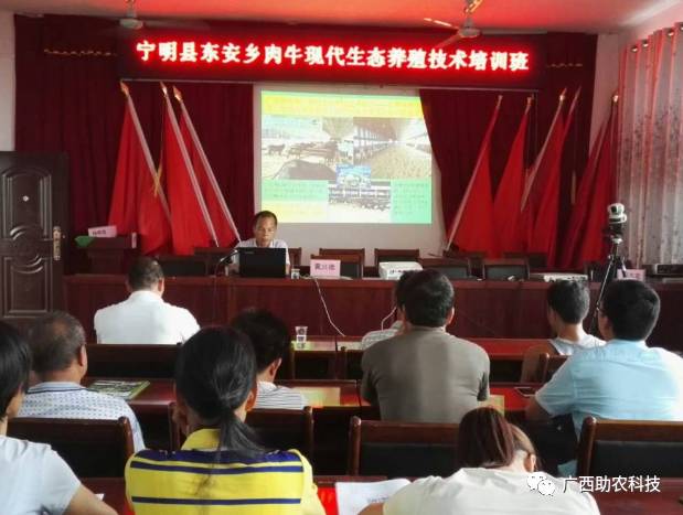 致富经牛 舍处理技术_农民增收致富的措施与技术_这几年学哪些技术致富