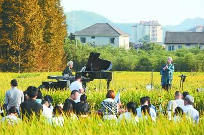 耦田养泥鳅_致富经藕池养泥鳅视频_藕田养泥鳅技术视频