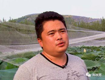 莲藕池养殖泥鳅视频_致富经藕池养泥鳅视频_藕田泥鳅养殖技术