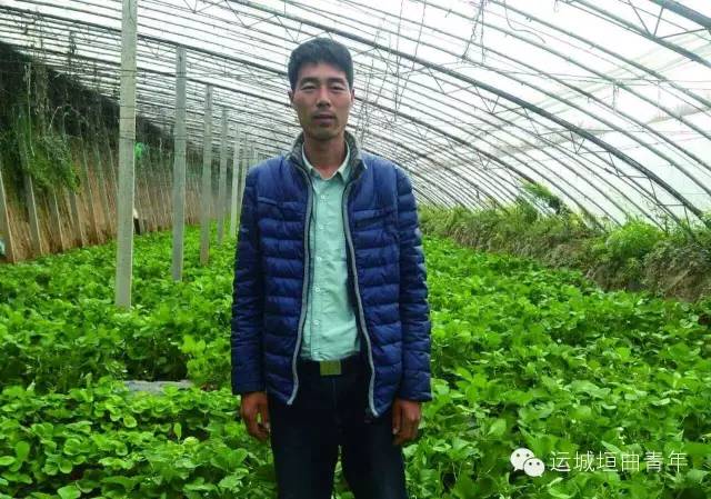 黑鱼养殖致富经_黑鱼养殖技术利润多少_黑鱼养殖助致富