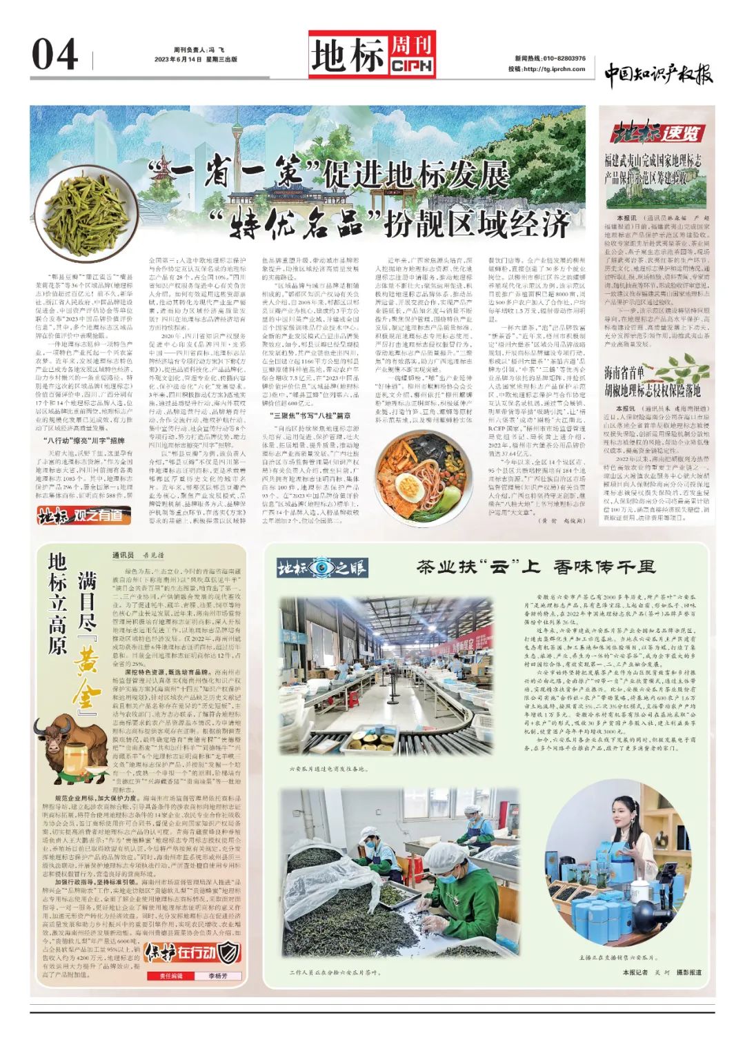 种植笋致富_竹笋致富经_竹笋创业
