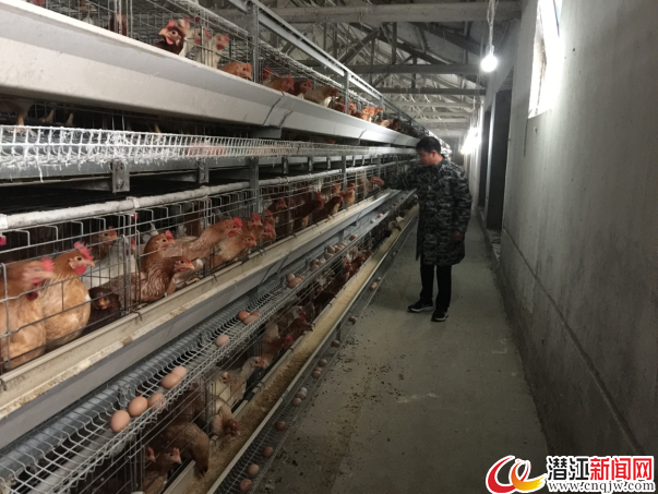致富养殖项目_致富养殖什么最赚钱_养殖致富千万