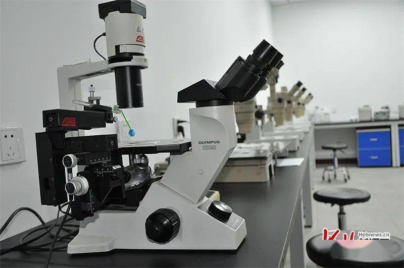 致富经创业项目农村养殖牛_致富养殖良种牛视频_良种牛养殖致富