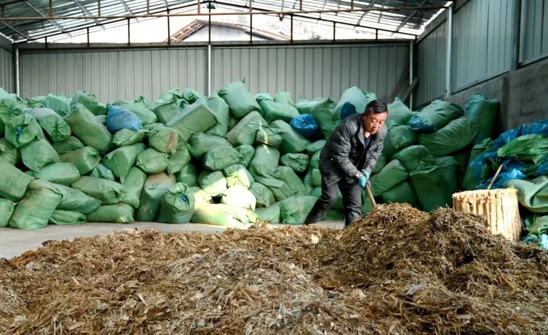 致富经创业项目农村养殖牛_致富养殖良种牛视频_良种牛养殖致富