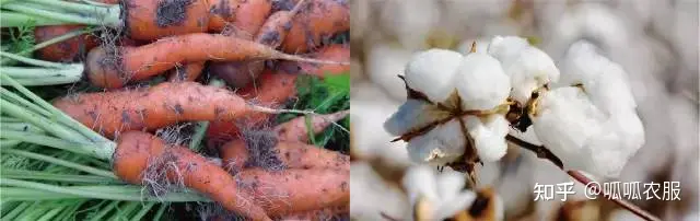 致富种植农业理念怎么写_致富种植农业理念有哪些_农业种植致富理念
