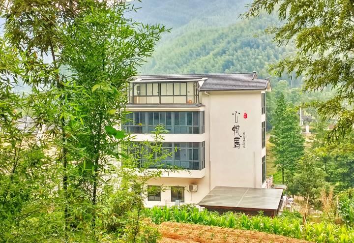 村里的民宿 余村村委供图.jpg