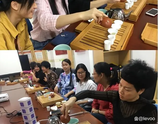 视频致富种植白茶是骗局吗_种植白茶的市场前景_种植白茶致富视频