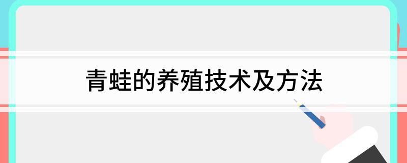 青蛙的养殖技术及方法