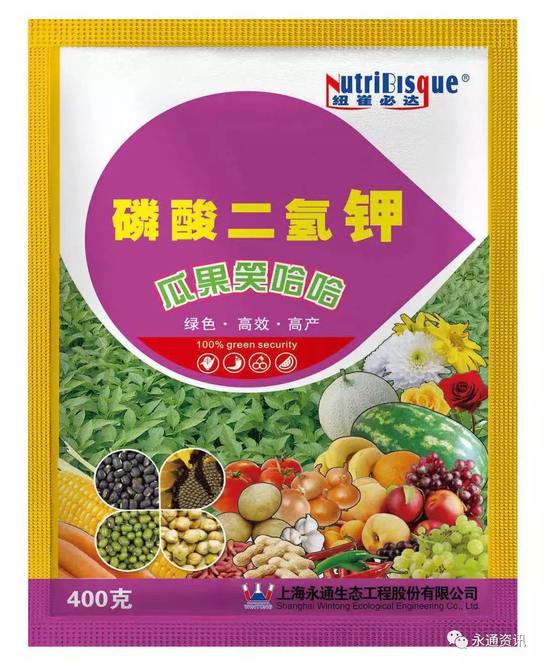 致富经大棚种菜技术_大棚里的致富经_致富经大棚种植技术