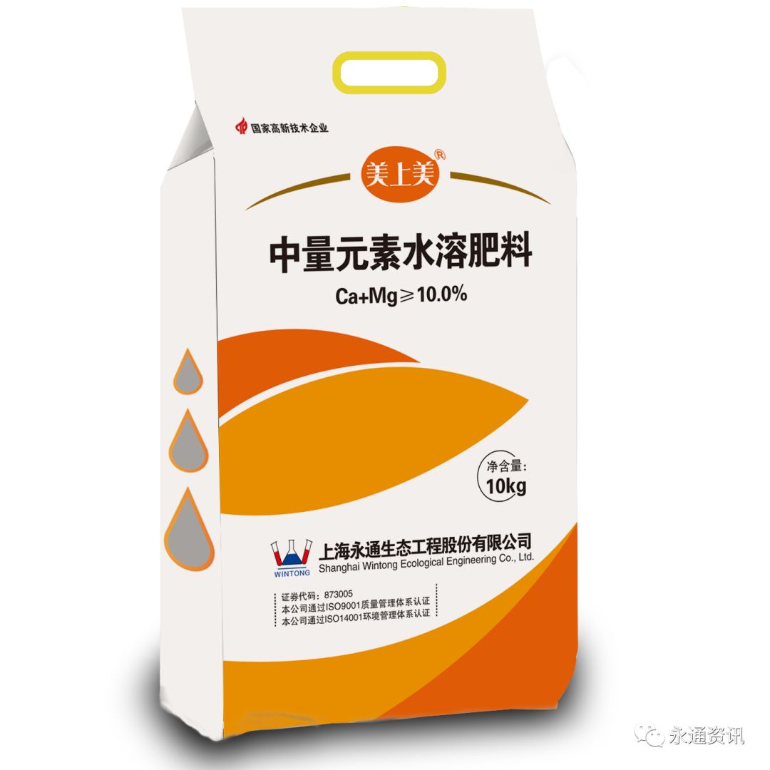 大棚里的致富经_致富经大棚种菜技术_致富经大棚种植技术