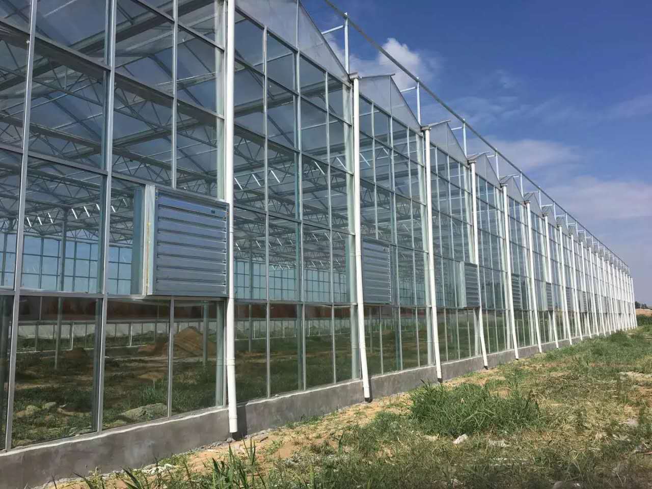智能温室大棚发展经营模式有哪些