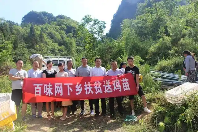 致富养殖乌鸡方法有哪些_如何养殖乌鸡_乌鸡养殖致富方法