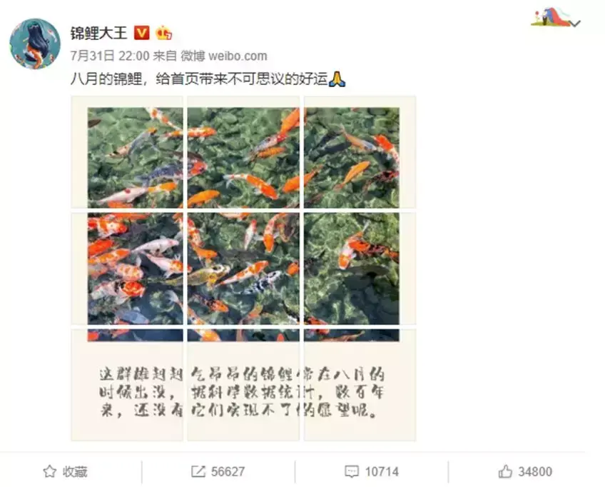 别再转发锦鲤了，上淘宝买活锦鲤还包邮