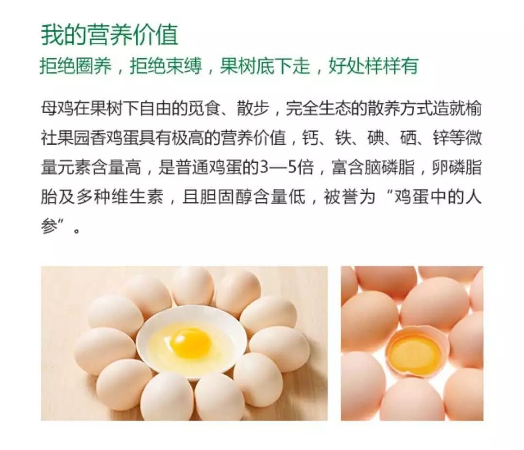 致富经绿壳蛋鸡养殖视频_致富经绿壳鸡蛋_绿壳鸡蛋致富经视频