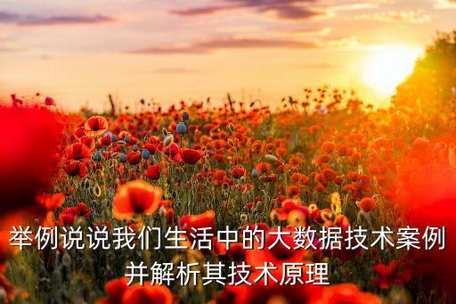 大数据十大经典案例，举例说说我们生活中的大数据技术案例并解析其技术原理