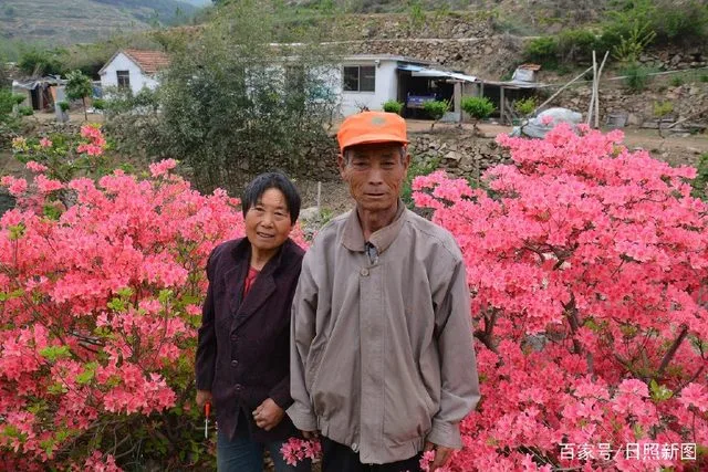 养蜂致富靠真经_致富期养蜂是什么意思_致富经养蜂是多少期