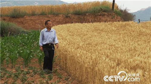 致富经：牛老汉使牛劲 300万就用30天 6月27日