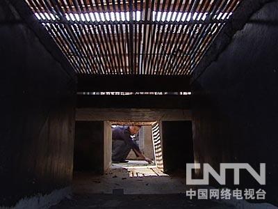 中央7台养老鼠致富经_中央7台养老鼠致富经_中央7台养老鼠致富经