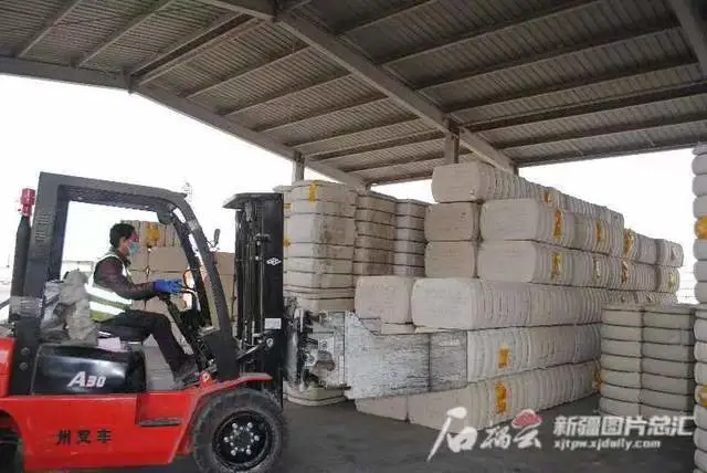 农户致富种植方案_农户致富种植农作物_农户种植致富