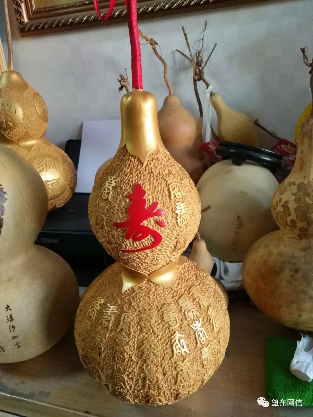 水葫芦致富经_葫芦装水_葫芦水的用处