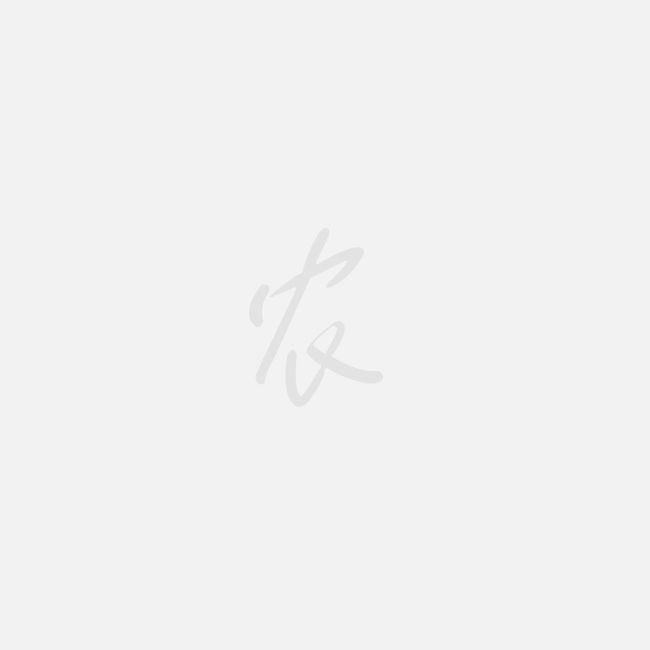 经验老农分享黄瓜高产种植方法-图片版权归惠农网所有