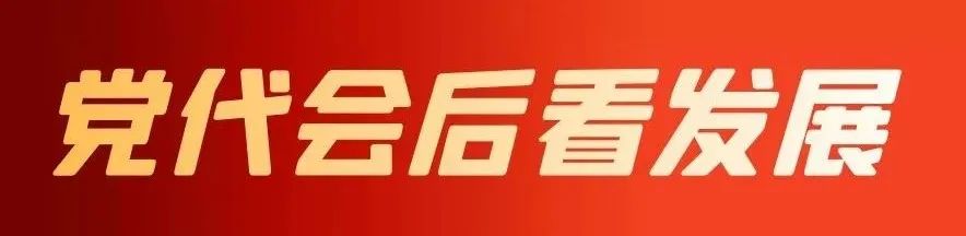 种植高端茶致富_致富种植什么比较赚大钱_致富好项目种植