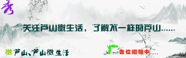 种植高端茶致富_致富好项目种植_致富种植创业项目