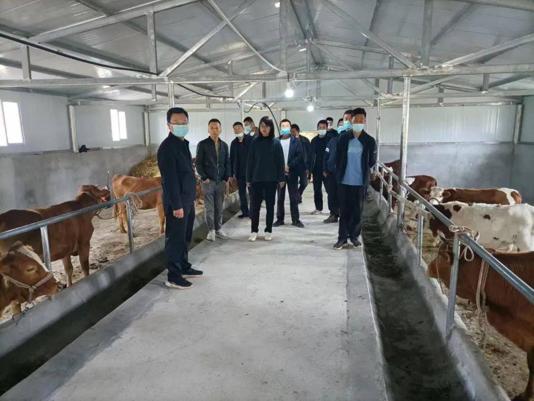 致富药材种植_农业中药养殖致富_中药养殖什么利润大