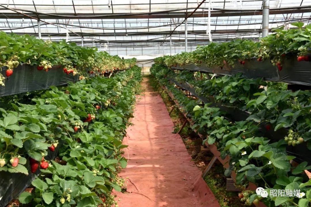 立体种植养殖模式视频_立体养殖业_立体种植养殖致富