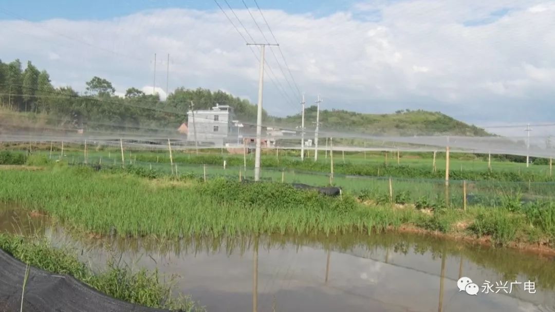 立体种植养殖致富_立体种植养殖模式视频_立体养殖技术