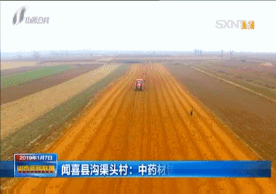 农业中药养殖致富_致富药材种植_中药养殖什么利润大