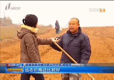 中药养殖什么利润大_农业中药养殖致富_致富药材种植