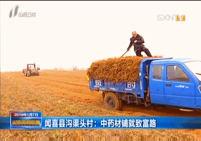 致富药材种植_农业中药养殖致富_中药养殖什么利润大