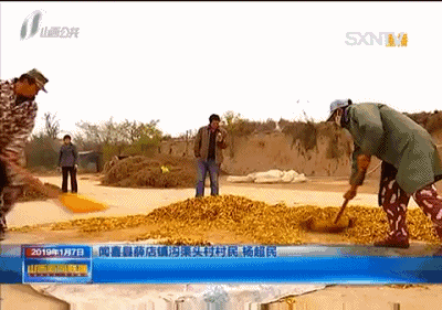 中药养殖什么利润大_农业中药养殖致富_致富药材种植